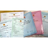 Dịch vụ cải chính hộ tịch, thay đổi họ và tên tại TPHCM