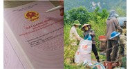 Đất sử dụng trước 1/7/2014 không giấy tờ được cấp sổ đỏ miễn phí