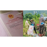 Đất sử dụng trước 1/7/2014 không giấy tờ được cấp sổ đỏ miễn phí