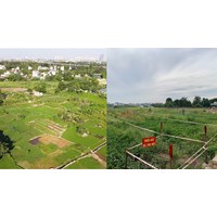 Các trường hợp thu hồi đất theo Luật Đất đai năm 2024 mới nhất