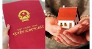 Xử lý quyền sử dụng đất của hộ gia đình theo Điều 259 Luật đất đai 2024
