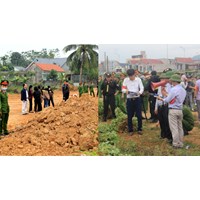 Xử lý đối với người có hành vi vi phạm pháp luật về đất đai theo Điều 239 Luật đất đai 2024