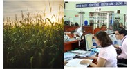 Trách nhiệm thực hiện thủ tục hành chính về đất đai theo Điều 226 Luật đất đai 2024