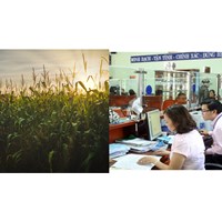 Trách nhiệm thực hiện thủ tục hành chính về đất đai theo Điều 226 Luật đất đai 2024