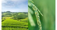Thanh tra, kiểm tra chuyên ngành đất đai, kiểm toán đất đai theo Điều 234 Luật đất đai 2024