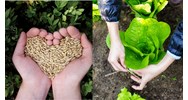 Xác nhận trực tiếp sản xuất nông nghiệp theo Luật Đất đai 2024