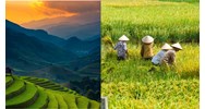 Hoàn cảnh sáng tác bài thơ Đất nước của Nguyễn Khoa Điềm