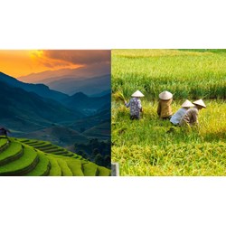 Hoàn cảnh sáng tác bài thơ Đất nước của Nguyễn Khoa Điềm