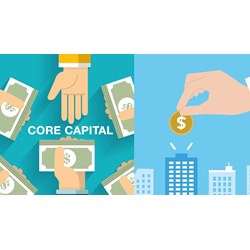 Vốn tự có là gì? Xác định vốn tự có của doanh nghiệp?