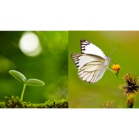 Những bài văn nghị luận xã hội lớp 10 chọn lọc hay nhất