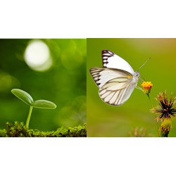 Những bài văn nghị luận xã hội lớp 10 chọn lọc hay nhất