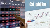 Theo Luật chứng khoán Việt Nam mệnh giá của một tờ cổ phiếu bằng bao nhiêu cổ phần?