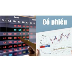 Theo Luật chứng khoán Việt Nam mệnh giá của một tờ cổ phiếu bằng bao nhiêu cổ phần?