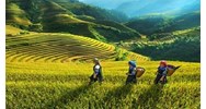 Trách nhiệm của Nhà nước về đất đai đối với đồng bào dân tộc thiểu số theo Điều 16 Luật đất đai 2024