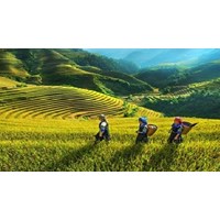 Trách nhiệm của Nhà nước về đất đai đối với đồng bào dân tộc thiểu số theo Điều 16 Luật đất đai 2024