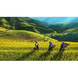 Trách nhiệm của Nhà nước về đất đai đối với đồng bào dân tộc thiểu số theo Điều 16 Luật đất đai 2024