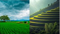 Hệ thống thông tin quốc gia về đất đai theo Điều 163 Luật đất đai 2024