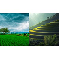 Hệ thống thông tin quốc gia về đất đai theo Điều 163 Luật đất đai 2024