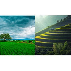 Hệ thống thông tin quốc gia về đất đai theo Điều 163 Luật đất đai 2024