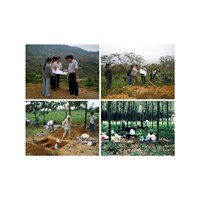 Nội dung bảo vệ, cải tạo, phục hồi đất theo quy định của Luật đất đai 2024 mới nhất