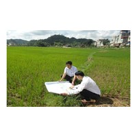 Nguyên tắc điều tra, đánh giá đất đai và bảo vệ, cải tạo, phục hồi đất theo Luật đất đai 2024