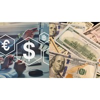 Các trường hợp được thanh toán bằng ngoại tệ tại Việt Nam?