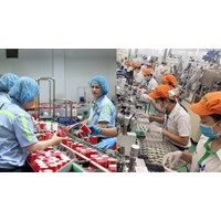 Bỏ quy định về lương tối thiểu cao hơn 7% cho người đã qua học nghề