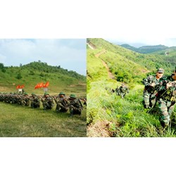 Sử dụng đất quốc phòng, an ninh kết hợp với hoạt động lao động sản xuất, xây dựng kinh tế theo Điều 201 Luật đất đai 2024