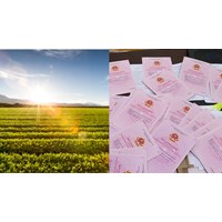 Đính chính, thu hồi, hủy giấy chứng nhận đã cấp  theo Điều 152 Luật đất đai 2024