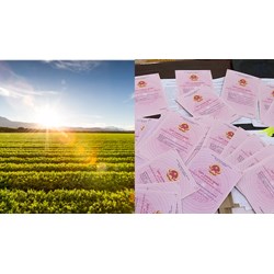 Đính chính, thu hồi, hủy giấy chứng nhận đã cấp  theo Điều 152 Luật đất đai 2024