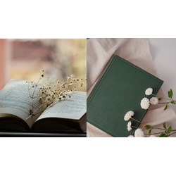 Viết đoạn văn ngắn từ 5 đến 7 câu tả một cuốn sách của em có hình ảnh so sánh