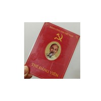 Đã bỏ quy định kỷ luật Đảng viên sinh con thứ 3 chưa?