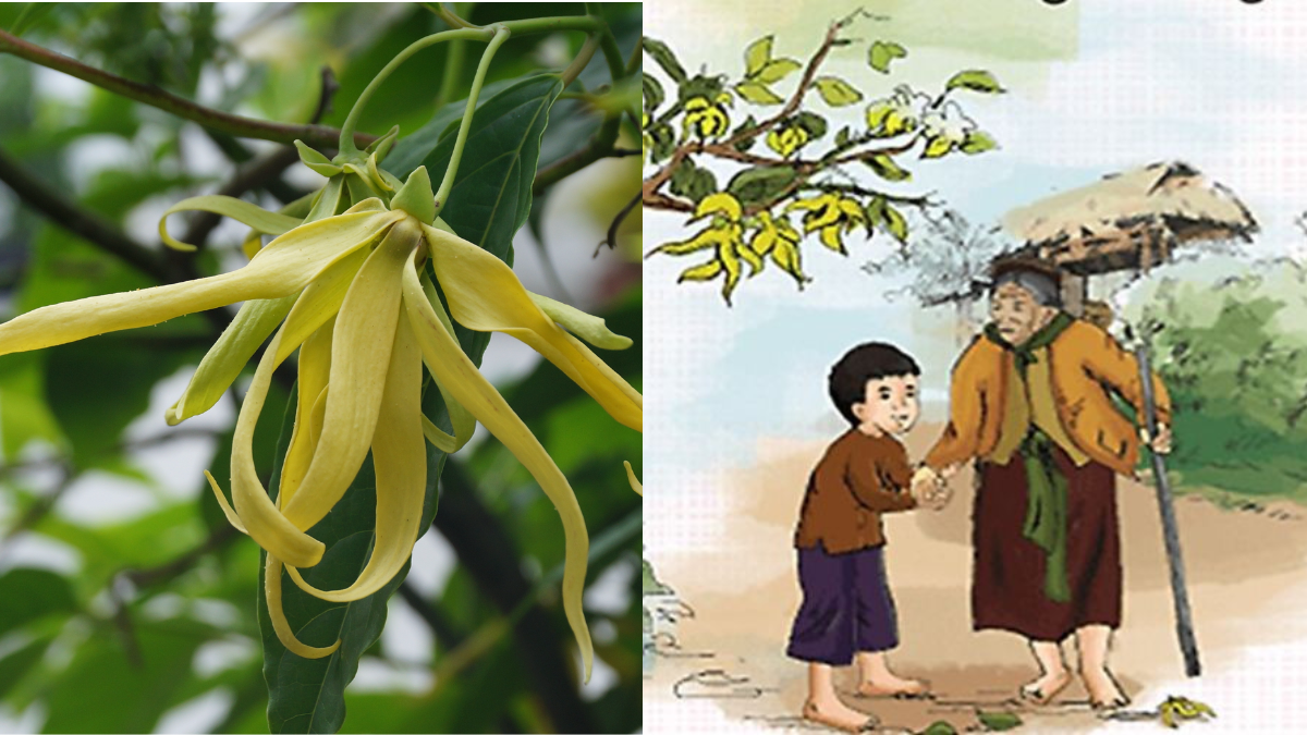 Thuyết minh về tác phẩm Dưới bóng hoàng lan