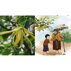 Thuyết minh về tác phẩm Dưới bóng hoàng lan