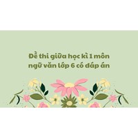 Đề thi giữa học kì 1 môn ngữ văn lớp 6 năm học 2024-2025 có đáp án