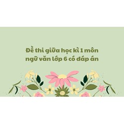 Đề thi giữa học kì 1 môn ngữ văn lớp 6 năm học 2024-2025 có đáp án