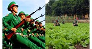 Đất quốc phòng, an ninh theo quy định Điều 200 Luật đất đai 2024