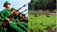Đất quốc phòng, an ninh theo quy định Điều 200 Luật đất đai 2024