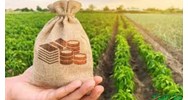 Hướng dẫn nộp thuế sử dụng đất phi nông nghiệp tại TPHCM