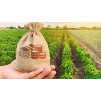 Hướng dẫn nộp thuế sử dụng đất phi nông nghiệp tại TPHCM