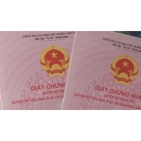 Các trường hợp đăng ký đất đai lần đầu theo Luật đất đai 2024