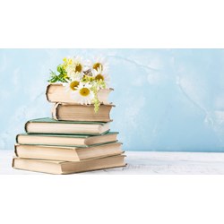 Soạn bài Vẻ đẹp của một bài ca dao - Cánh Diều lớp 6