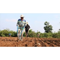 Người sử dụng đất theo quy định Điều 4 Luật đất đai 2024