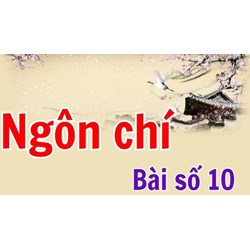 Ngôn chí bài 10 đọc hiểu có đáp án
