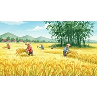 Tả cánh đồng lúa chín vào mùa gặt lớp 5