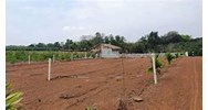 Xác định lại diện tích đất ở khi công nhận quyền sử dụng đất theo Luật đất đai 2024