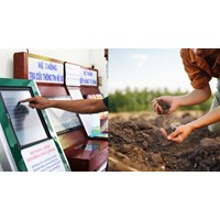 Dịch vụ công trực tuyến và giao dịch điện tử về đất đai theo Điều 167 Điều 168 Luật đất đai 2024