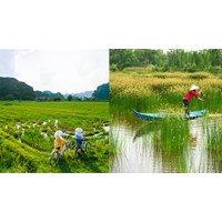 Tìm hiểu suy nghĩ và viết bài về tình hình địa phương em