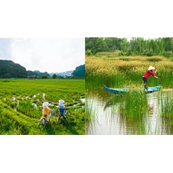 Tìm hiểu suy nghĩ và viết bài về tình hình địa phương em