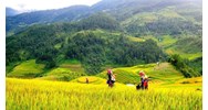 Bảo đảm của Nhà nước đối với người sử dụng đất theo Điều 17 Luật đất đai 2024